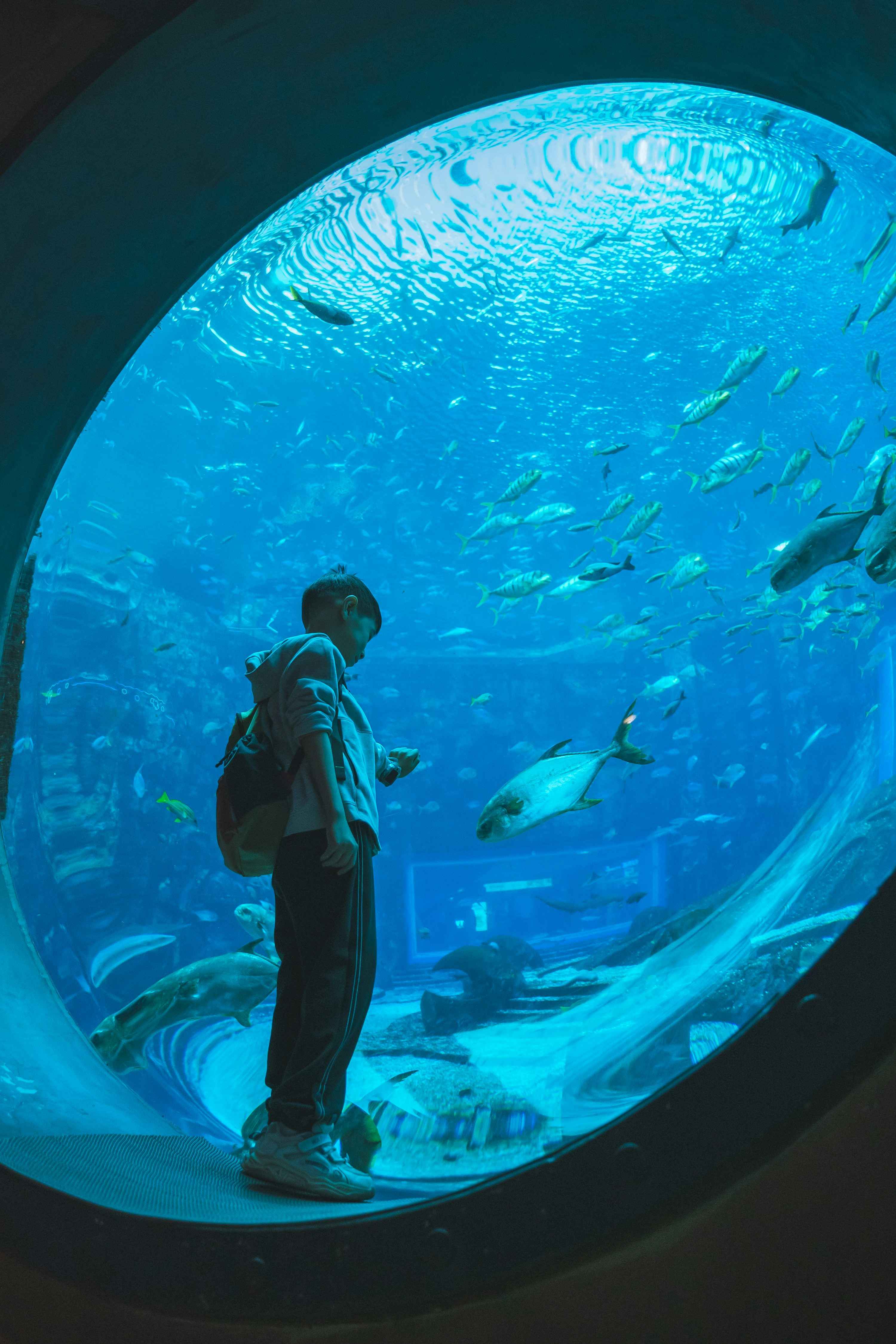 Children learning about marine life